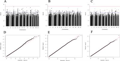 Novel and Known Gene-Smoking Interactions With cIMT Identified as Potential Drivers for Atherosclerosis Risk in West-African Populations of the AWI-Gen Study